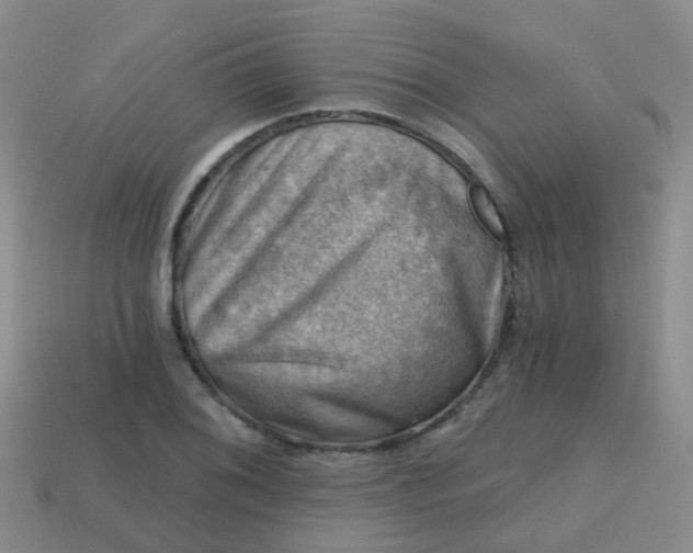 X0000113861076200910081701