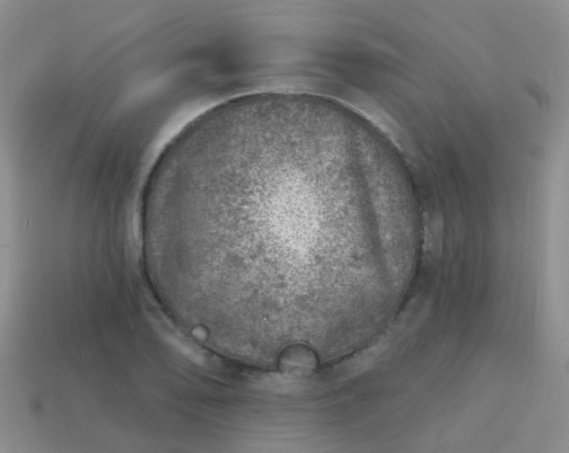 X0000113861078200910081701