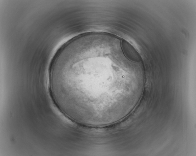X0000113861080200910081701