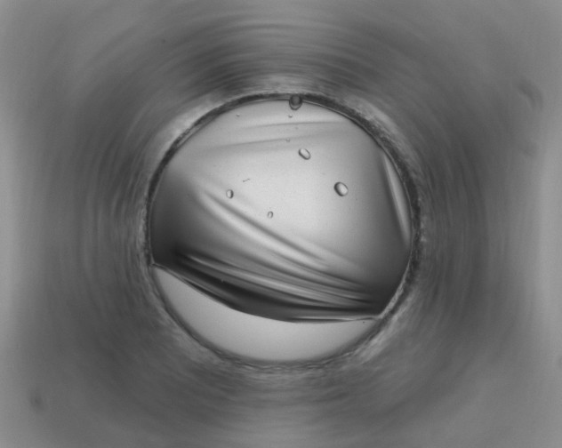 X0000113861081200910081701