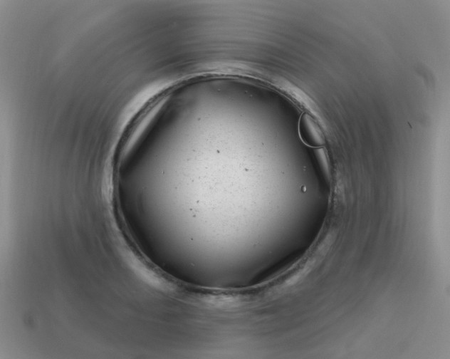 X0000113861082200910081701