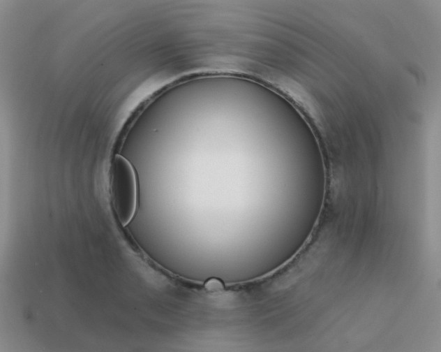 X0000113861085200910081701