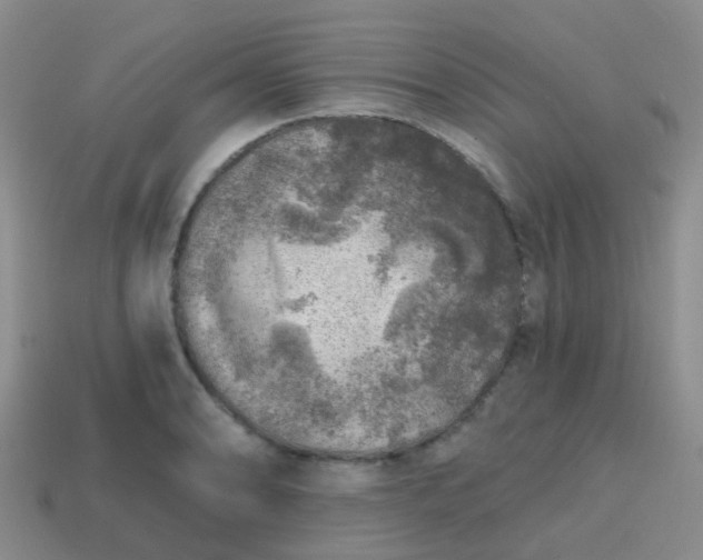 X0000113861086200910081701
