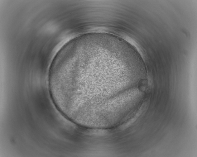 X0000113861090200910081701