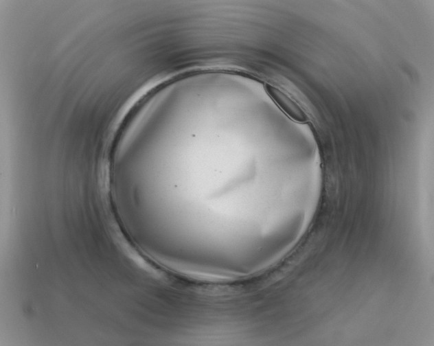 X0000113861092200910081701
