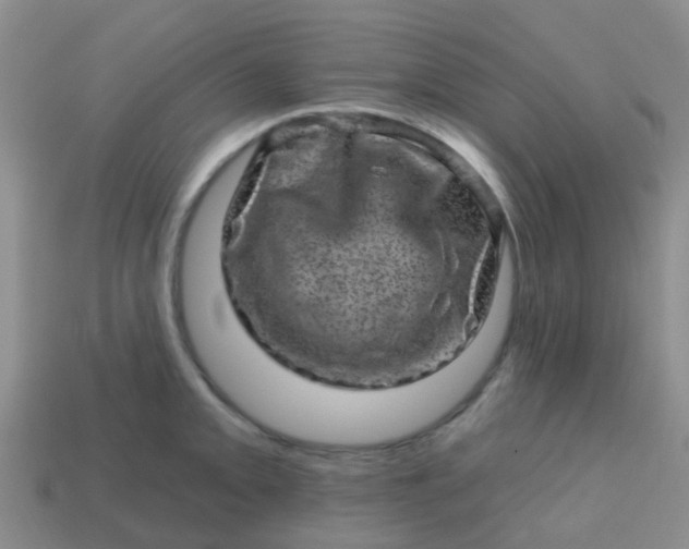 X0000113861093200910081701