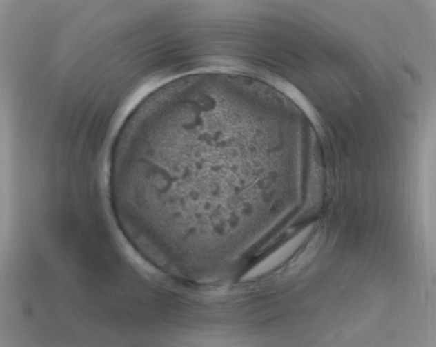 X0000113861099200910081701