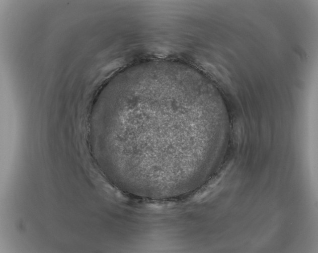 X0000113861105200910081700