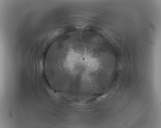 X0000113861106200910081700