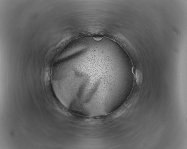 X0000113861107200910081700
