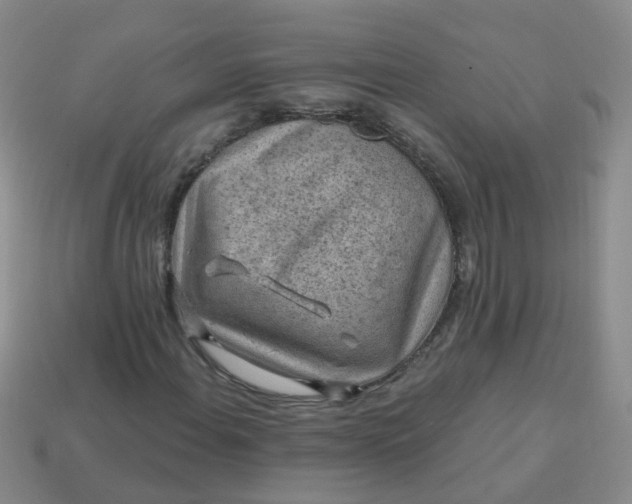 X0000113861108200910081700