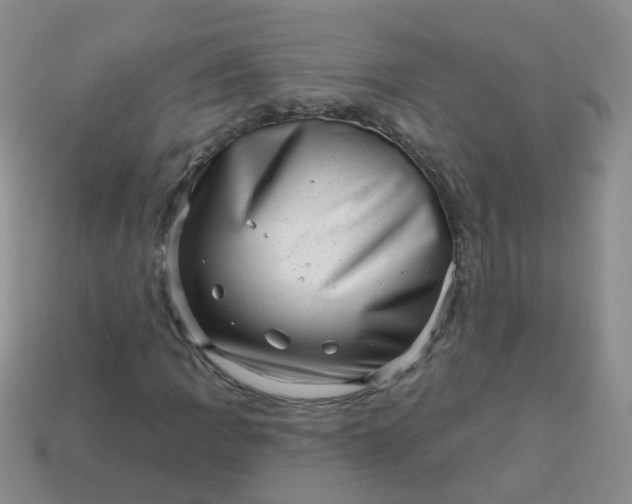 X0000113861109200910081700