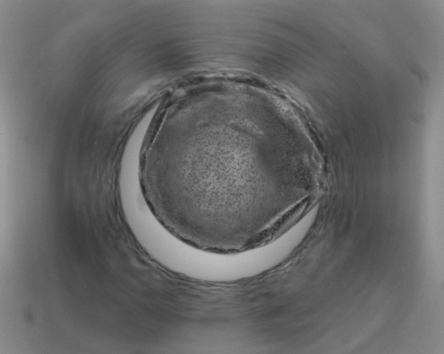 X0000113861110200910081700