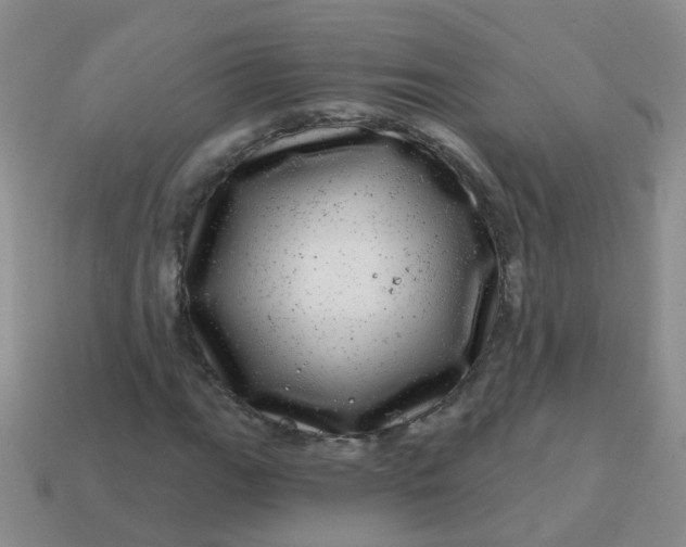 X0000113861111200910081700