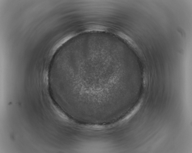 X0000113861113200910081700