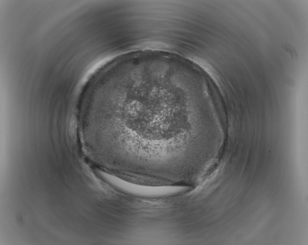 X0000113861115200910081700