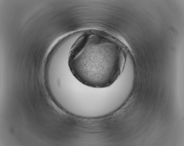 X0000113861116200910081700
