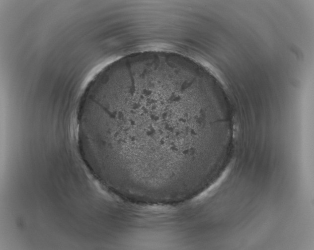 X0000113861117200910081700
