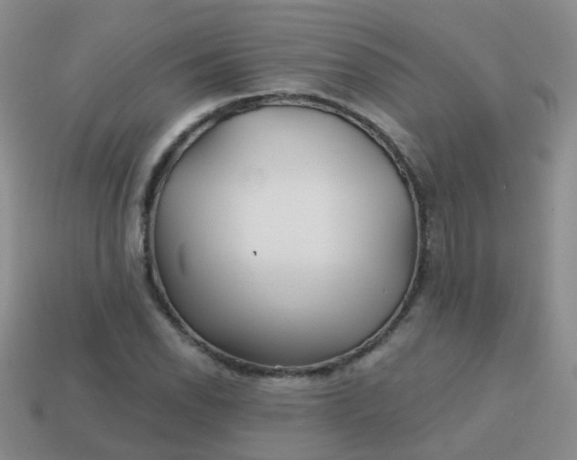 X0000113861118200910081700
