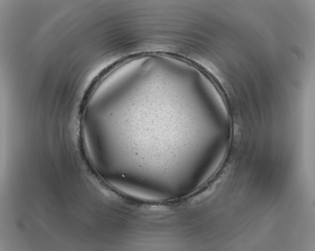 X0000113861119200910081700