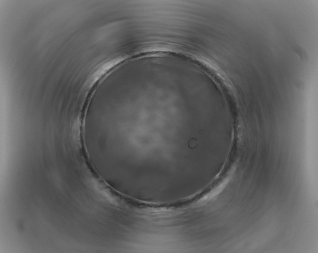 X0000113861121200910081700