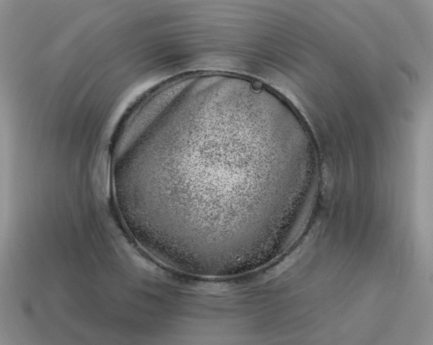 X0000113861123200910081700