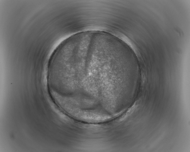 X0000113861124200910081700