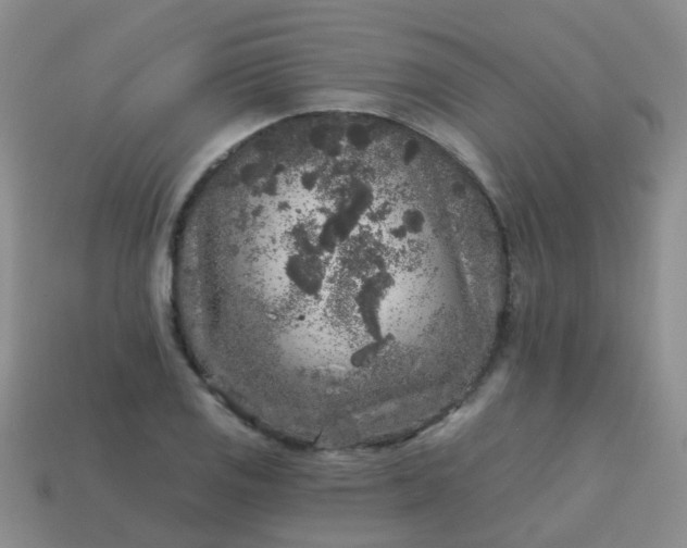 X0000113861125200910081700