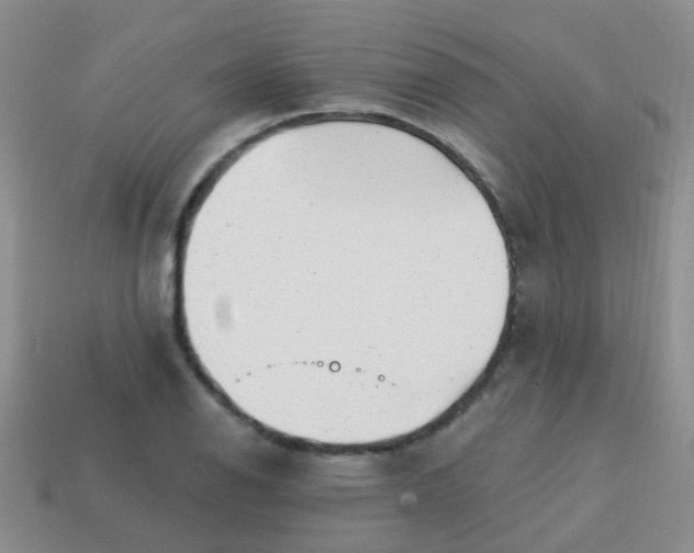X0000113861126200910081700