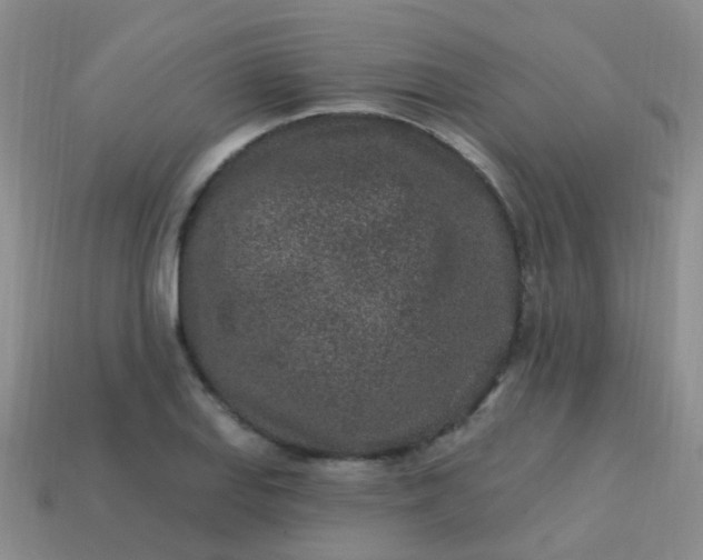 X0000113861127200910081700