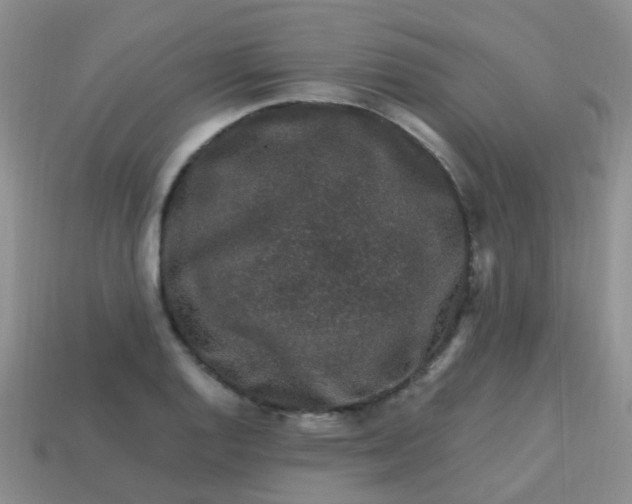 X0000113861128200910081700