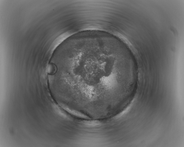 X0000113861129200910081700