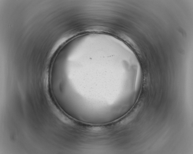 X0000113861130200910081700