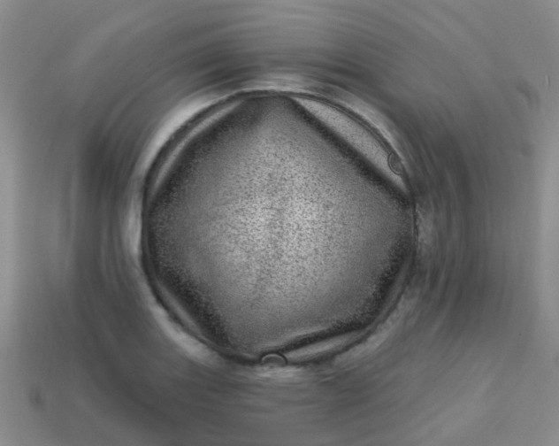 X0000113861131200910081700