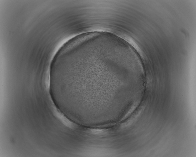 X0000113861132200910081700