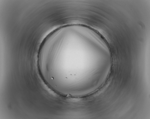 X0000113861134200910081700