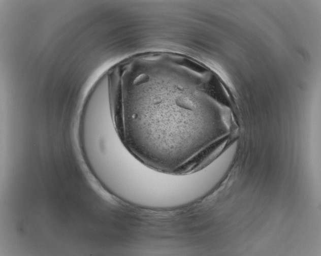 X0000113861136200910081700