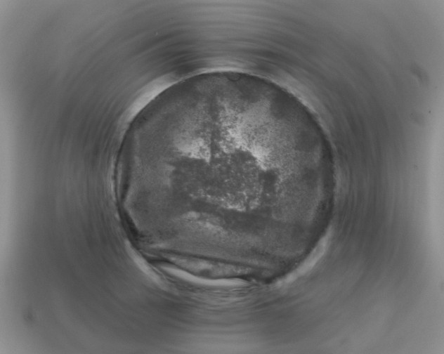 X0000113861137200910081700