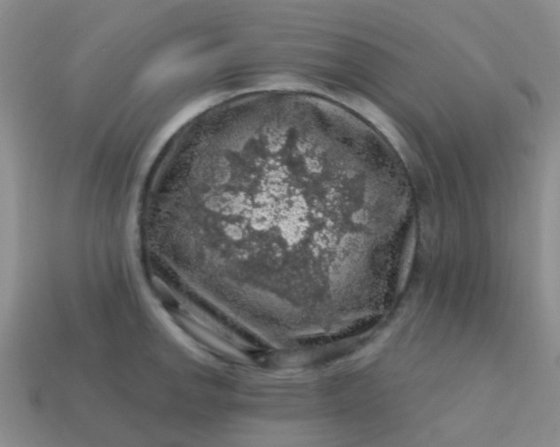 X0000113861142200910081700
