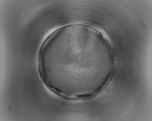 X0000113861143200910081701