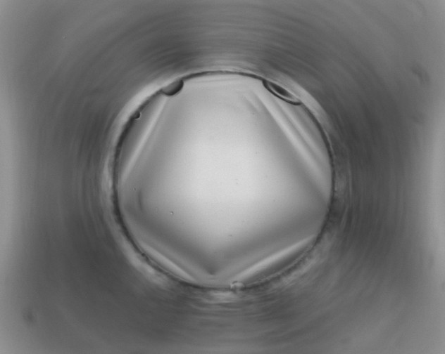 X0000113861144200910081701