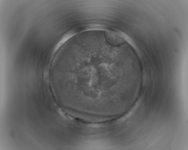 X0000113861145200910081701