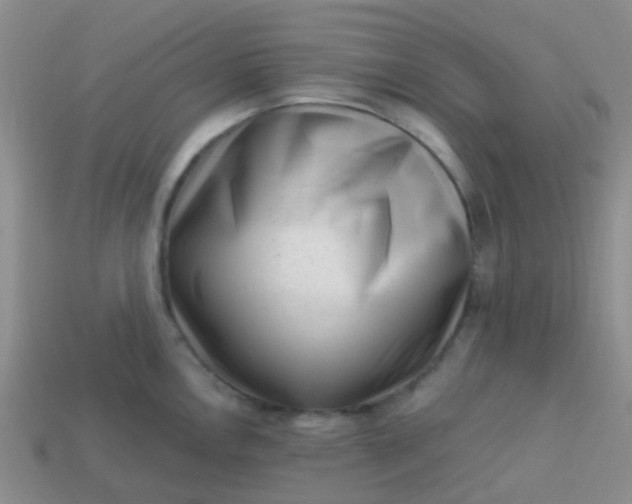X0000113861146200910081701