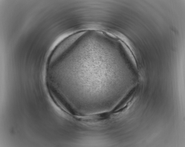 X0000113861147200910081701