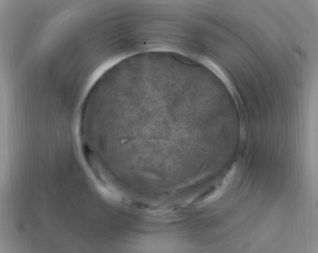 X0000113861149200910081701