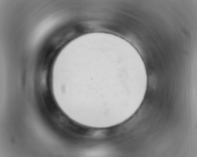 X0000113861150200910081701