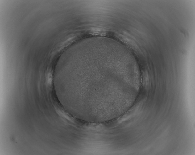 X0000113861154200910081700