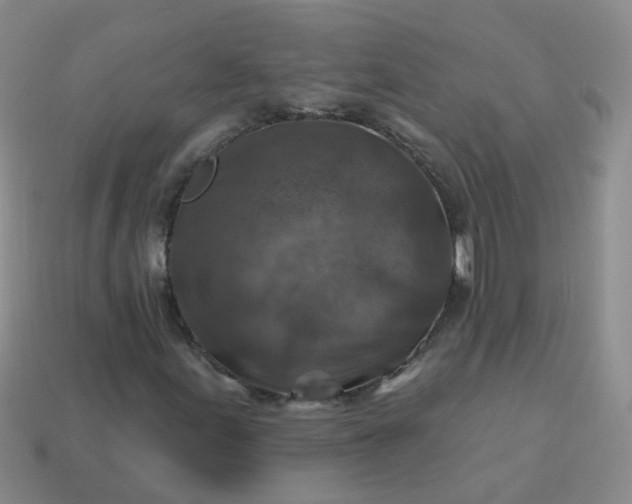 X0000113861155200910081700