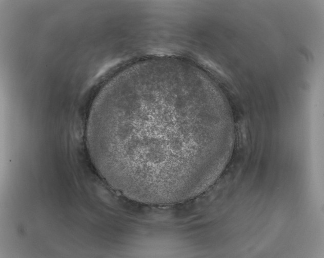 X0000113861158200910081700