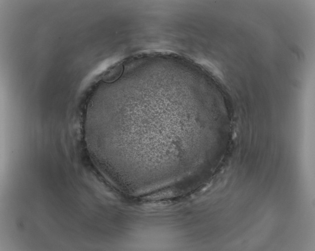 X0000113861159200910081700